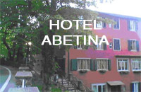 Hotel Abetina