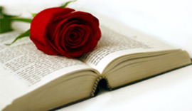 cat_libri2
